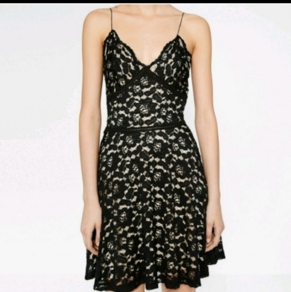 Zara Lace Skater Dress - Picture 2 of 9